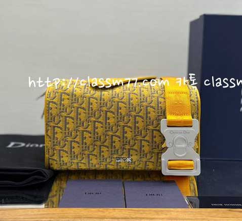 디올 22 한정판 Lingot 소가죽 카프스킨 가방 C451