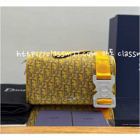 디올 22 한정판 Lingot 소가죽 카프스킨 가방 C451