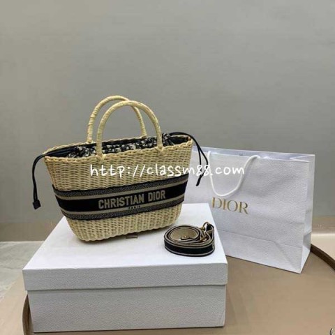 디올 24 한정판 Oblique 가방 C2585