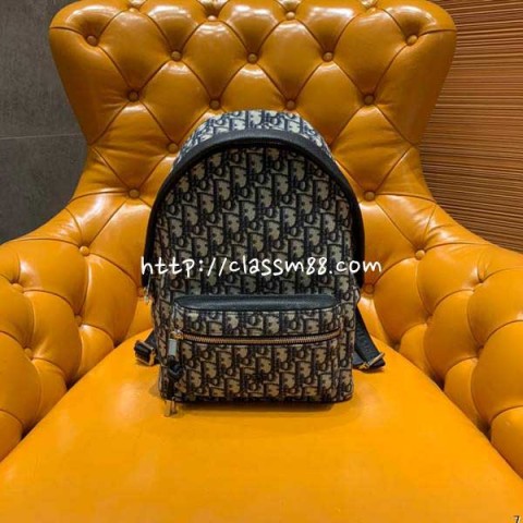 디올 24 한정판 Oblique 백팩 C2658