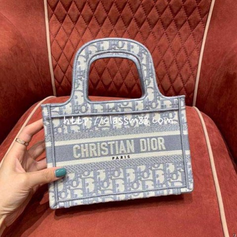 디올 24 한정판 Mini Book tote 가방 C2680