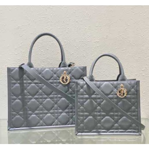 디올 24 한정판 26cm/36cm 크로스백 가방 C2973