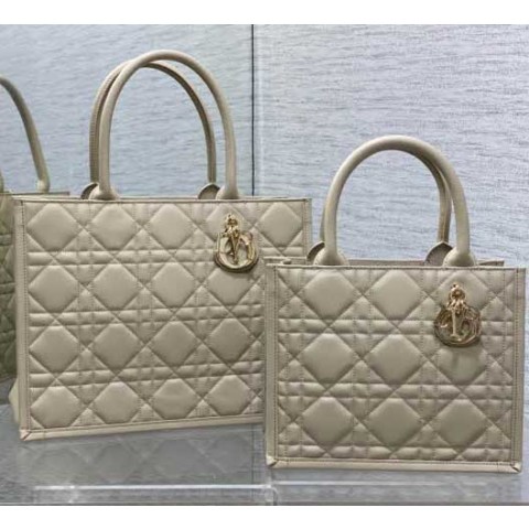 디올 24 한정판 26cm/36cm 크로스백 가방 C2976