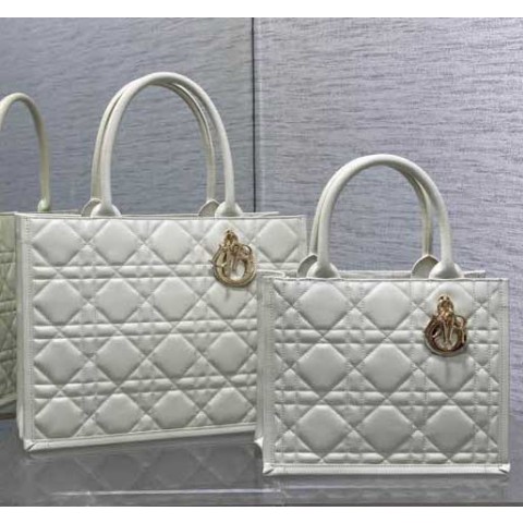 디올 24 한정판 26cm/36cm 크로스백 가방 C2977