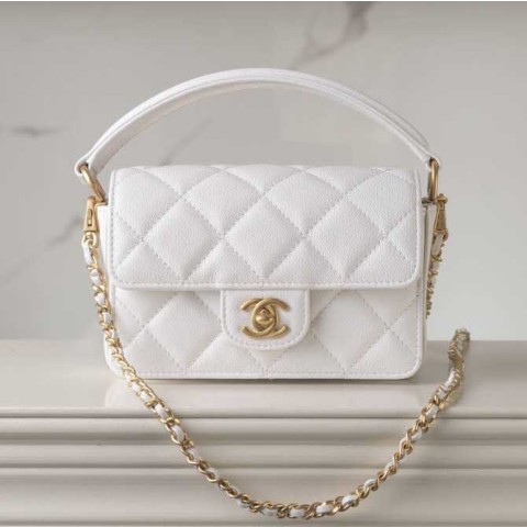 샤넬 25 한정판 16cm 크로스백 가방 C4003
