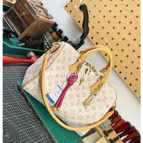 루이비통 25 한정판 M15108 Speedy Soft 30 Lucky Dune 크로스백 가방 C5320