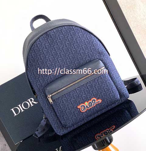 디올 25 한정판 AND KAWS 소가죽 카프스킨 백팩 C5479