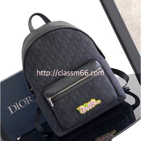 디올 25 한정판 AND KAWS 소가죽 카프스킨 백팩 C5480