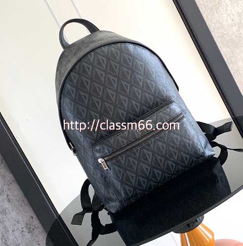 디올 25 한정판 Diamond 소가죽 카프스킨 백팩 C5485