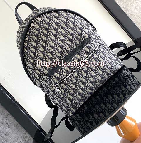 디올 25 한정판 Oblique 소가죽 카프스킨 백팩 C5487