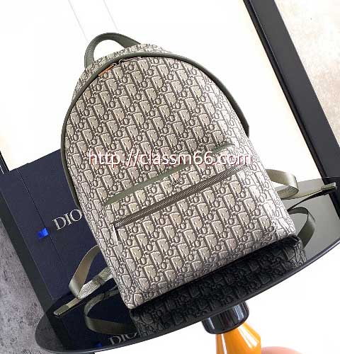 디올 25 한정판 Oblique 소가죽 카프스킨 백팩 C5489