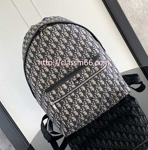 디올 25 한정판 Oblique 소가죽 카프스킨 백팩 C5491