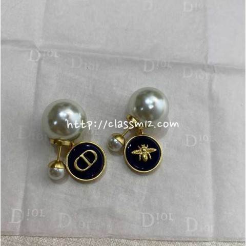 디올 25 한정판 귀걸이 D3342
