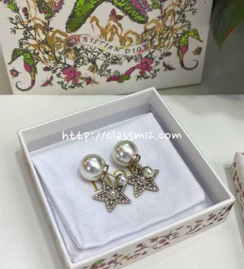 디올 25 한정판 귀걸이 D3362