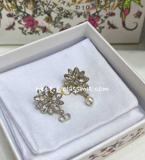 디올 25 한정판 귀걸이 D3364