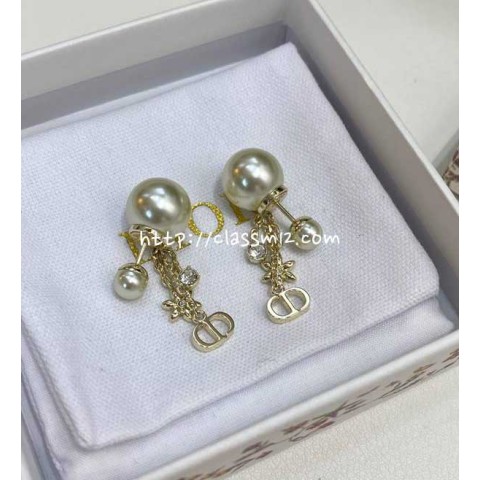 디올 25 한정판 귀걸이 D3368