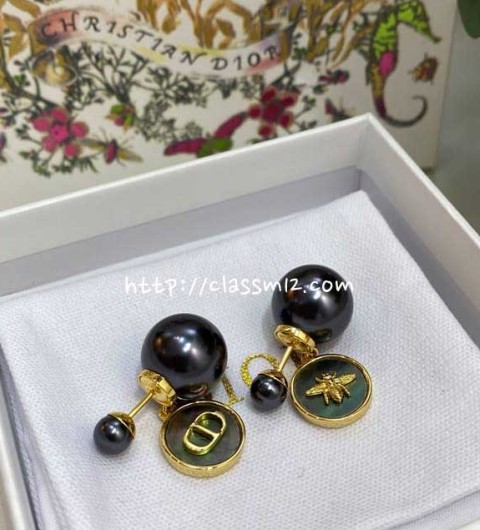 디올 25 한정판 Tribales 귀걸이 D3372