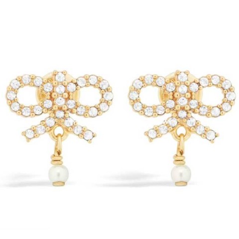 디올 25 한정판 귀걸이 D3421