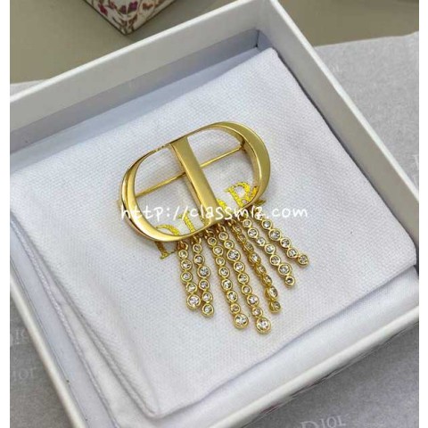 디올 25 한정판 브로치 D3477