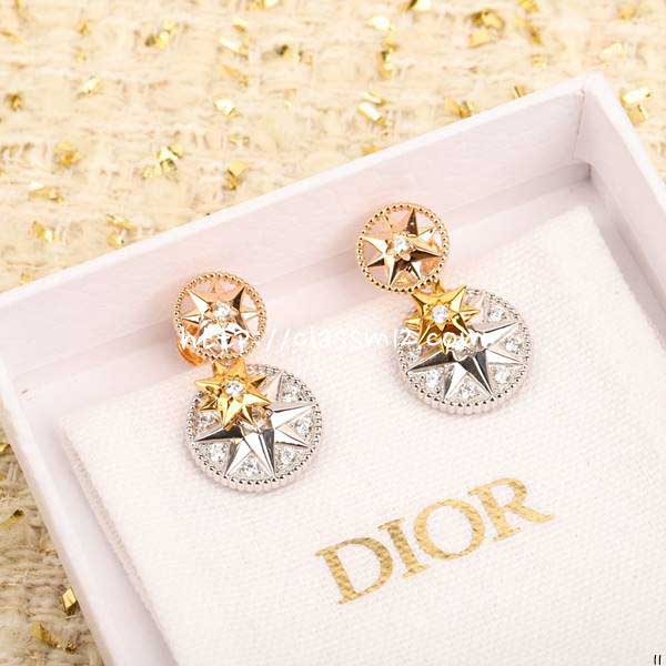 디올 25 한정판 Rose des Vents 귀걸이 D3491