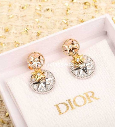 디올 25 한정판 Rose des Vents 귀걸이 D3491