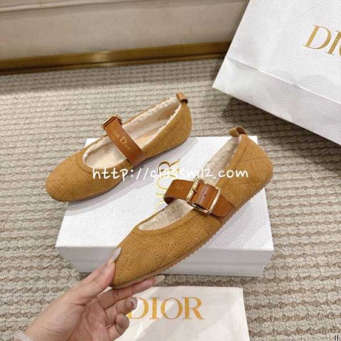 디올 25 한정판 Frost 여성 소가죽 카프스킨 신발 B5501