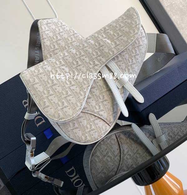 디올 25 한정판 Saddle Bag 소가죽 카프스킨 크로스백 가방 C5970