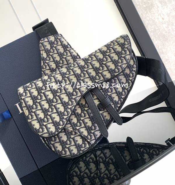 디올 25 한정판 Saddle Bag 소가죽 카프스킨 크로스백 가방 C5976