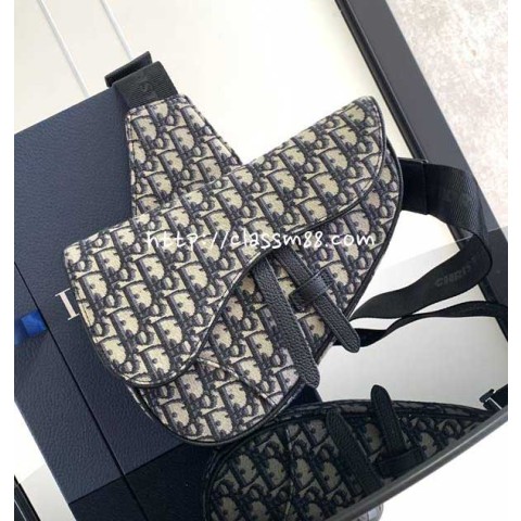 디올 25 한정판 Saddle Bag 소가죽 카프스킨 크로스백 가방 C5976
