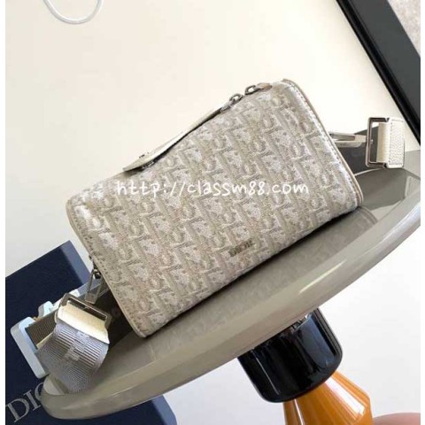 디올 25 한정판 Dio Lingot 22 크로스백 가방 C5977
